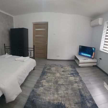 Andi 2-Apartament Băile Herculane Exteriör bild
