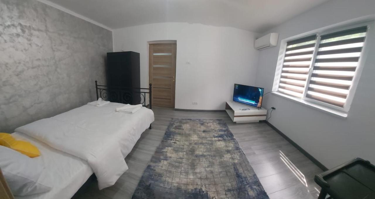 Andi 2-Apartament Băile Herculane Exteriör bild